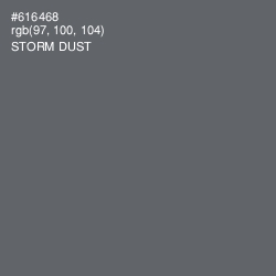 #616468 - Storm Dust Color Image